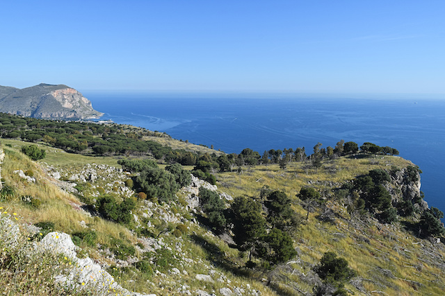 mount_pellegrino_palermo